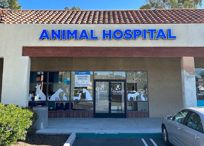 Grand Animal Hospital Picture 9