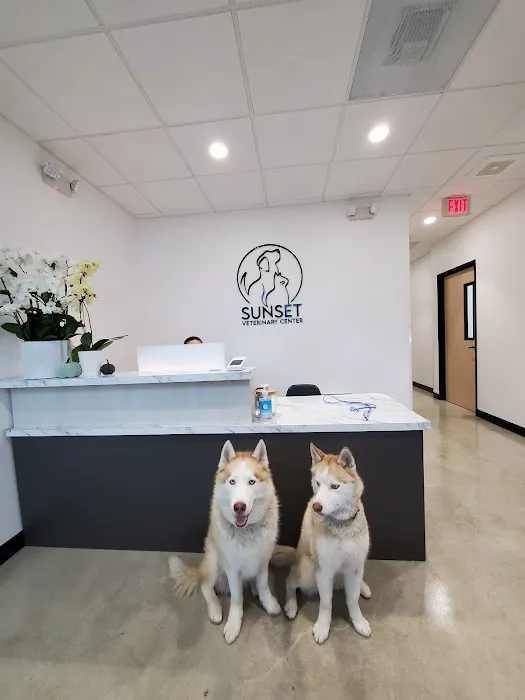 Sunset Veterinary Center Picture 4