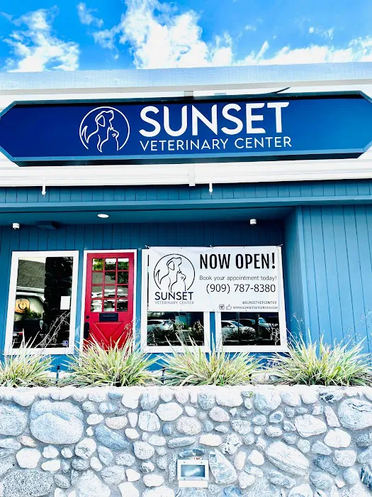 Sunset Veterinary Center Picture 3