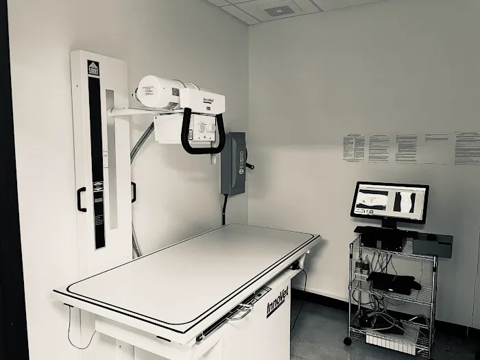 Sunset Veterinary Center Picture 10