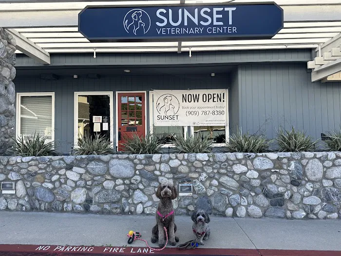 Sunset Veterinary Center Picture 6