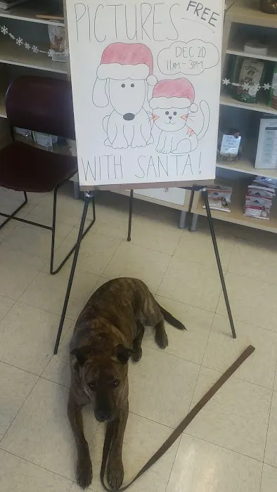 All Pets Medical and Surgical Center Picture 1