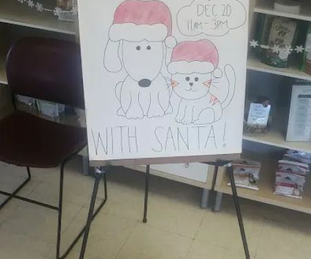 All Pets Medical and Surgical Center
