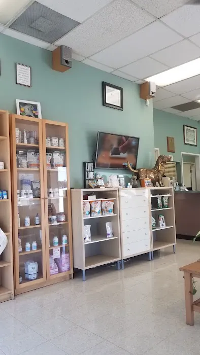 All Pets Medical and Surgical Center Picture 2