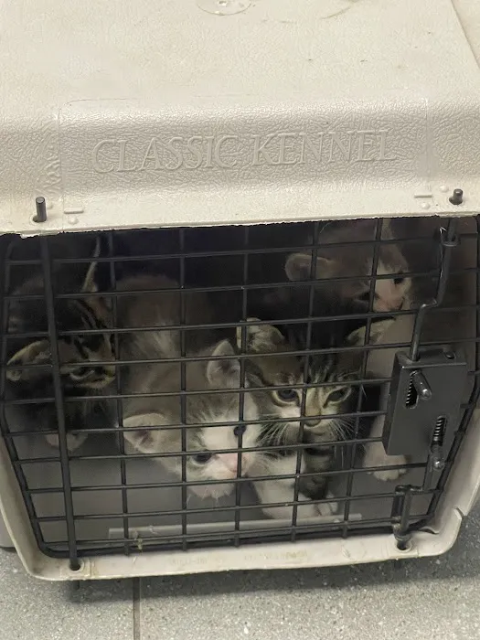 TLC Animal Clinic Picture 2