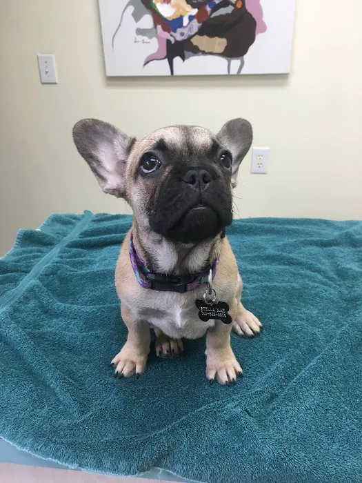 Whipple Ave Pet Hospital Picture 1