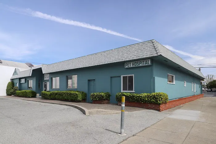 Whipple Ave Pet Hospital Picture 6