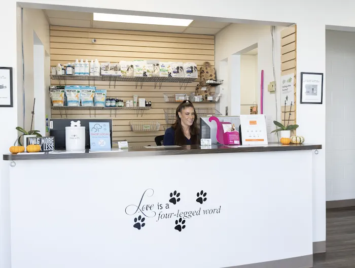 Whipple Ave Pet Hospital Picture 10