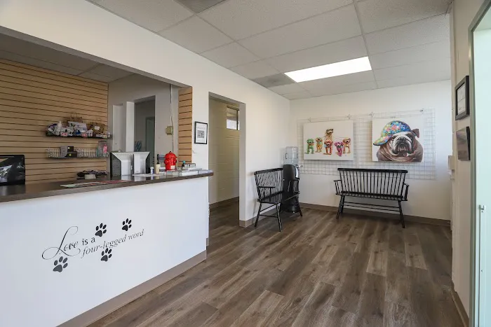 Whipple Ave Pet Hospital Picture 9