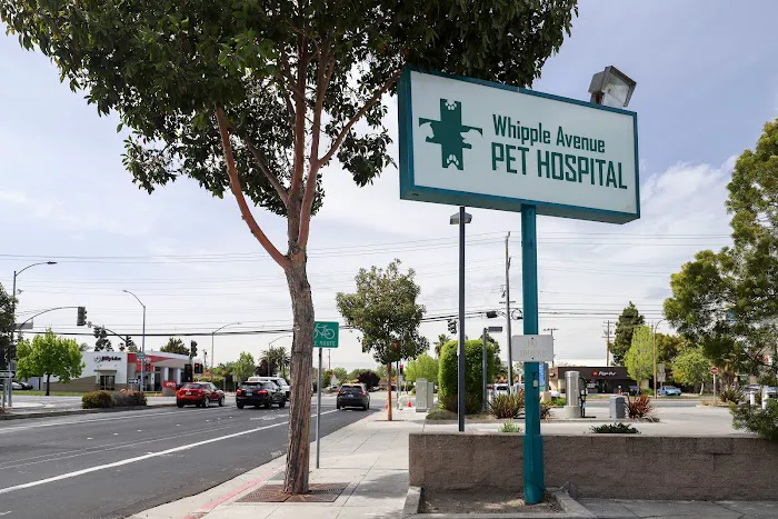 Whipple Ave Pet Hospital Picture 7