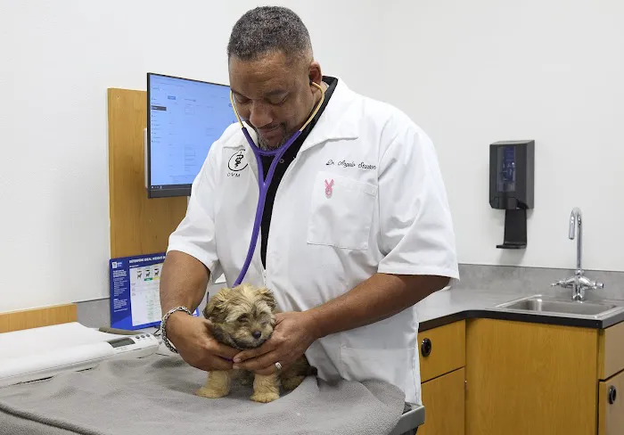 PetSmart Veterinary Services - San Carlos Picture 2