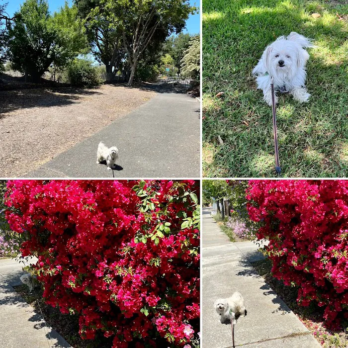 PetSmart Veterinary Services - San Carlos Picture 4