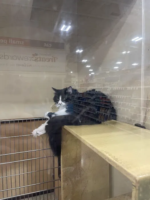 PetSmart Veterinary Services - San Carlos Picture 5