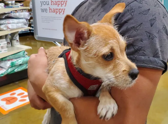 Banfield Pet Hospital Picture 1