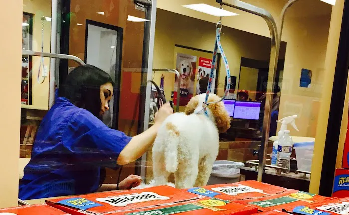Banfield Pet Hospital Picture 6