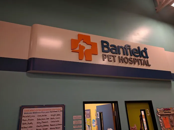 Banfield Pet Hospital Picture 5