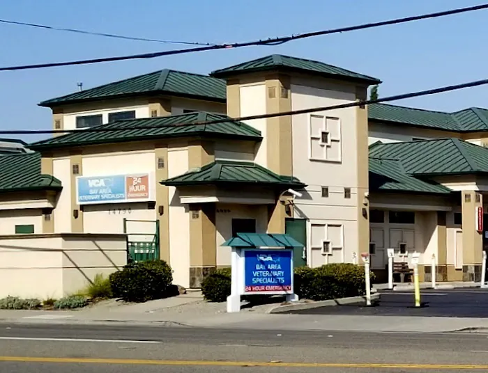 VCA Bay Area Veterinary Specialists & Emergency Hospital Picture 4