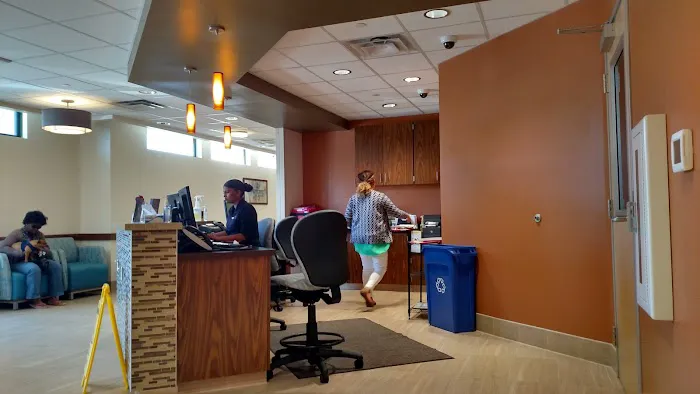 VCA Bay Area Veterinary Specialists & Emergency Hospital Picture 1