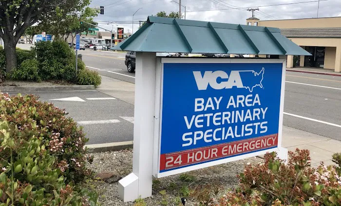 VCA Bay Area Veterinary Specialists & Emergency Hospital Picture 5