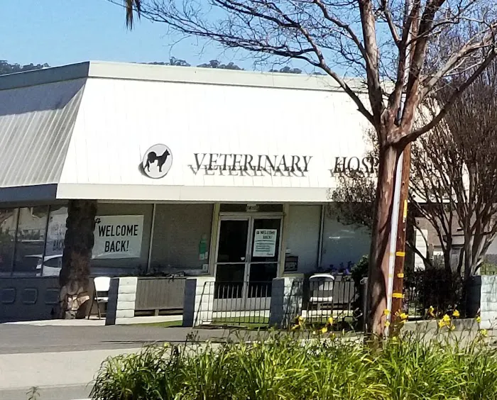 Good Samaritan Veterinary Hospital Picture 1