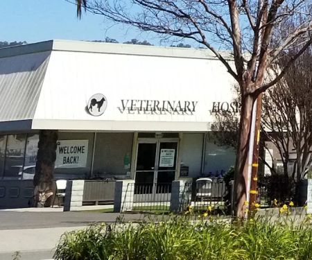 Good Samaritan Veterinary Hospital
