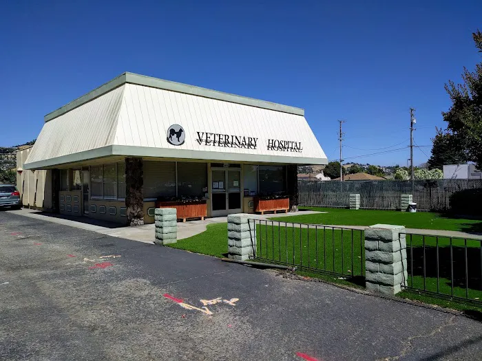 Good Samaritan Veterinary Hospital Picture 2