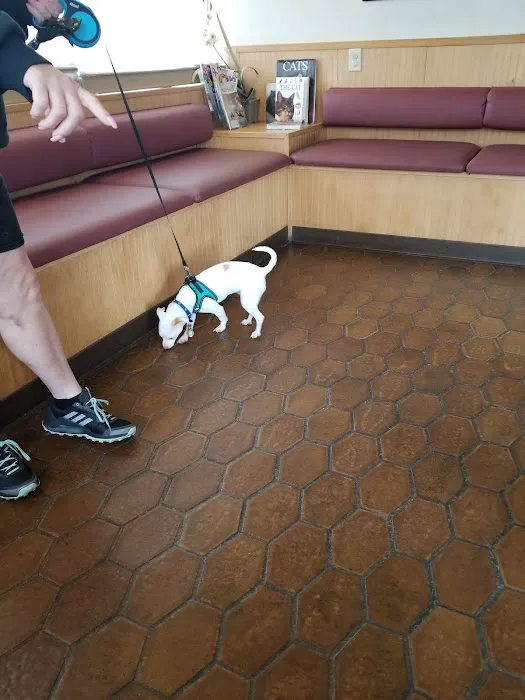 Good Samaritan Veterinary Hospital Picture 10