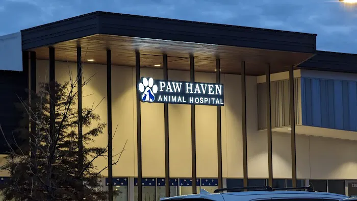 Paw Haven Animal Hospital Picture 1