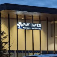 Paw Haven Animal Hospital ico