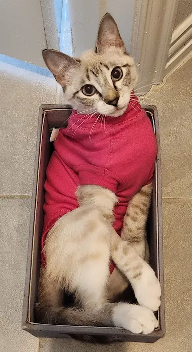 Paw Haven Animal Hospital Picture 4