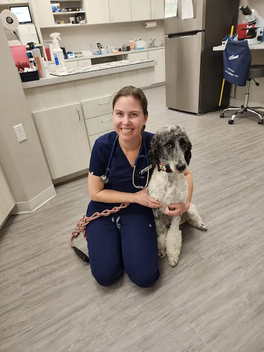 Paw Haven Animal Hospital Picture 9
