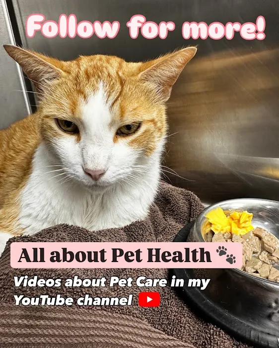 InnerVet Picture 1
