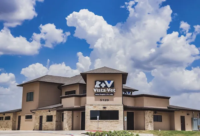 Vista Vet - Animal Hospital & Pet Lodge Picture 9