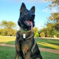 Highway 29 Veterinary Hospital ico