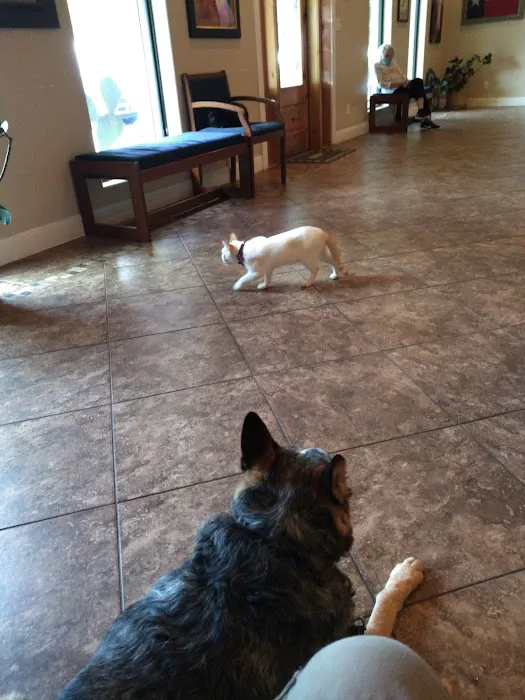 Highway 29 Veterinary Hospital Picture 9