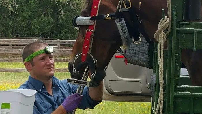 Pecan Grove Veterinary Services Picture 4