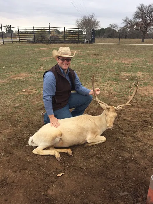 Pecan Grove Veterinary Services Picture 3