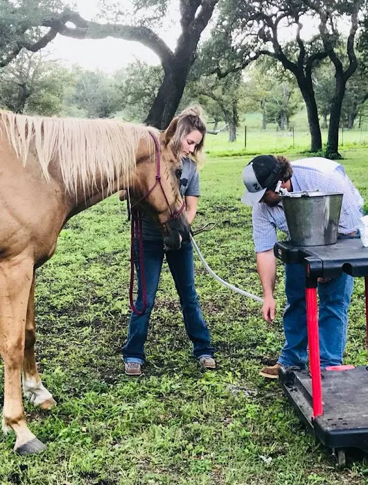 Pecan Grove Veterinary Services Picture 5