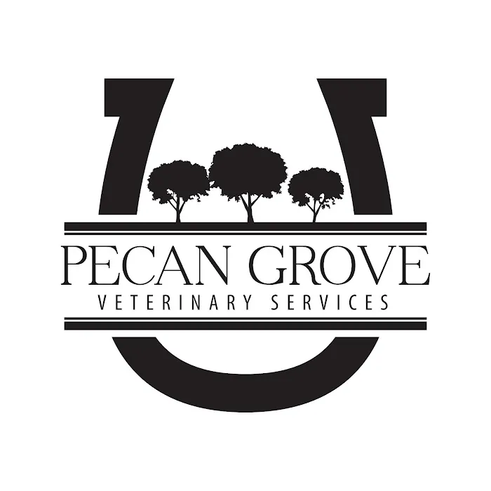Pecan Grove Veterinary Services Picture 6