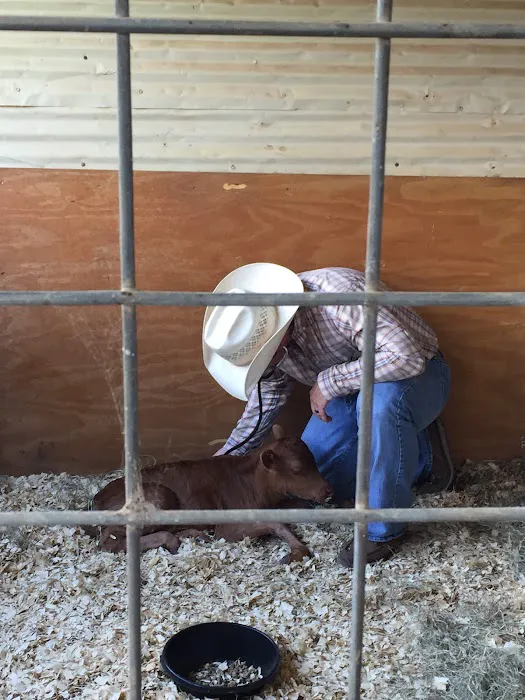 Pecan Grove Veterinary Services Picture 7