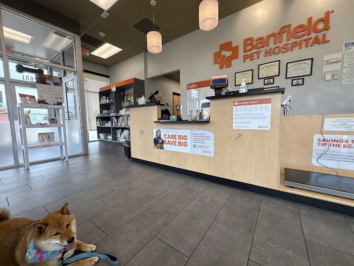 Banfield Pet Hospital Picture 8