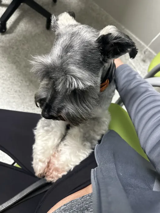 North Dallas Veterinary Emergency & Specialty Hospital Picture 6