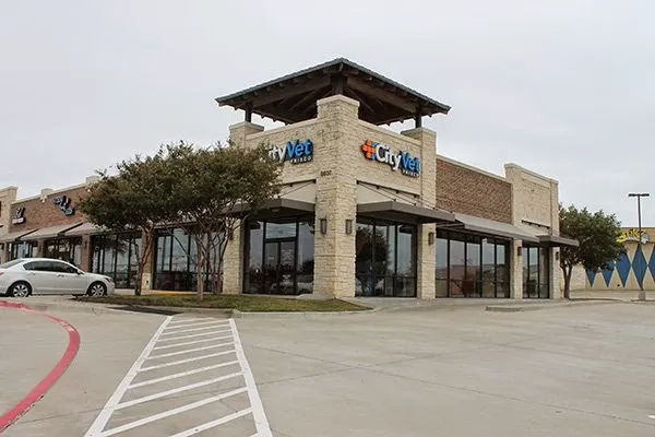 CityVet | Frisco Picture 8