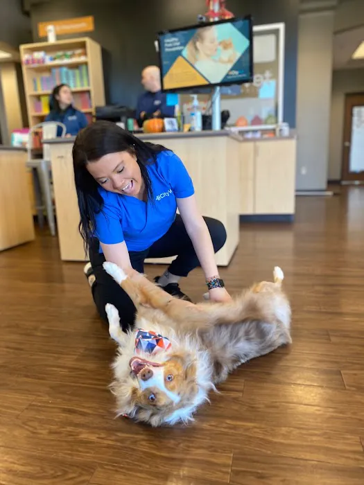 CityVet | Frisco Picture 9