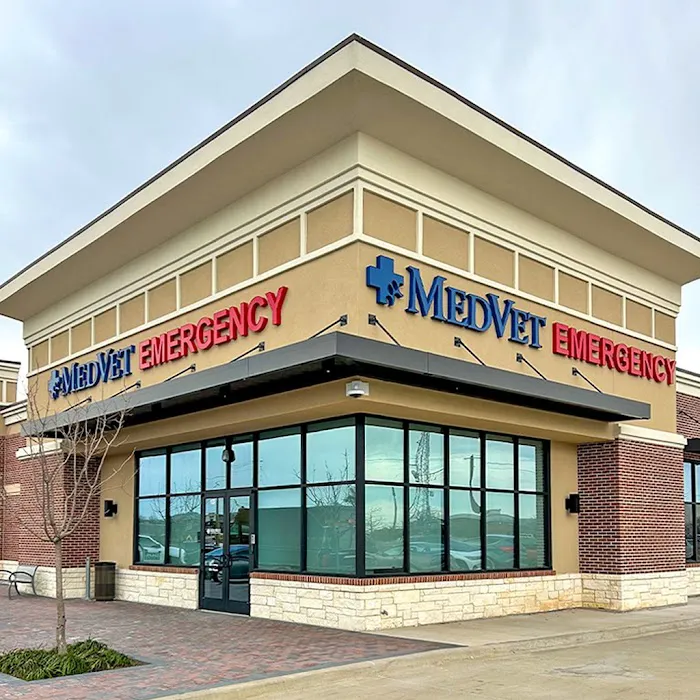 MedVet Frisco Picture 8