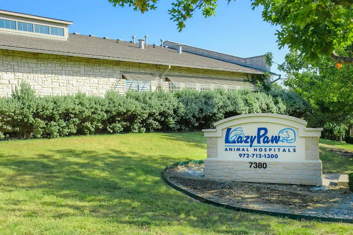 LazyPaw Animal Hospitals Picture 5