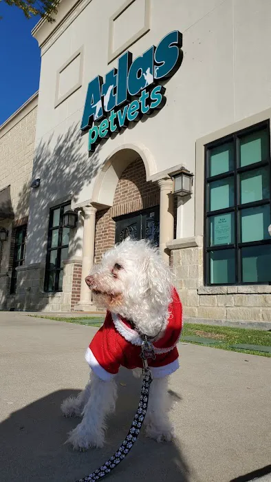 Atlas Pet Vets Picture 4