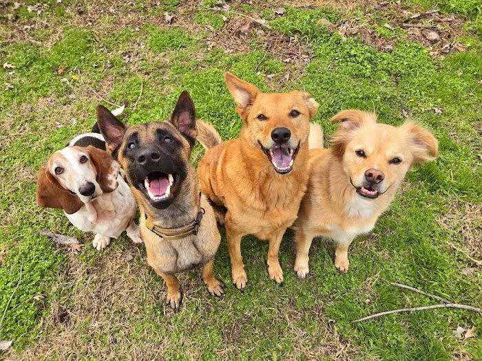 Atlas Pet Vets Picture 9