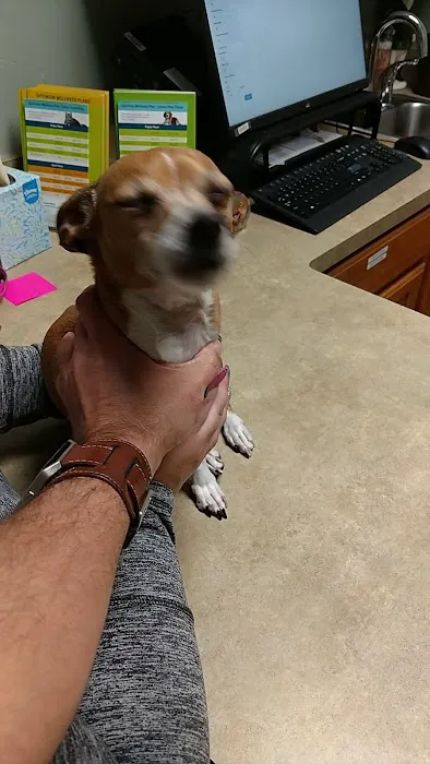 Banfield Pet Hospital Picture 1