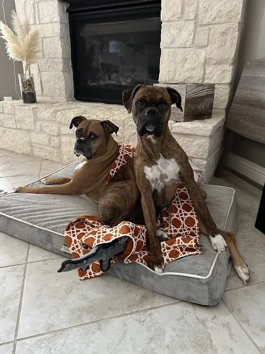 Banfield Pet Hospital Picture 6